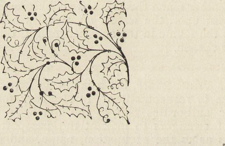 An illustration from Beeton's housewife's treasury of domestic information : comprising complete and practical instructions on the house and its furniture, artistic decoration economy, toilet, children, etiquette, domestic and fancy needlework, dressmaking and millinery, and all other household matters : with every requisite direction to secure the comfort, elegance, and prosperity of the home : a companion volume to "Mrs. Beeton's book of household management" : profusely illustrated, 1879, leaf 725