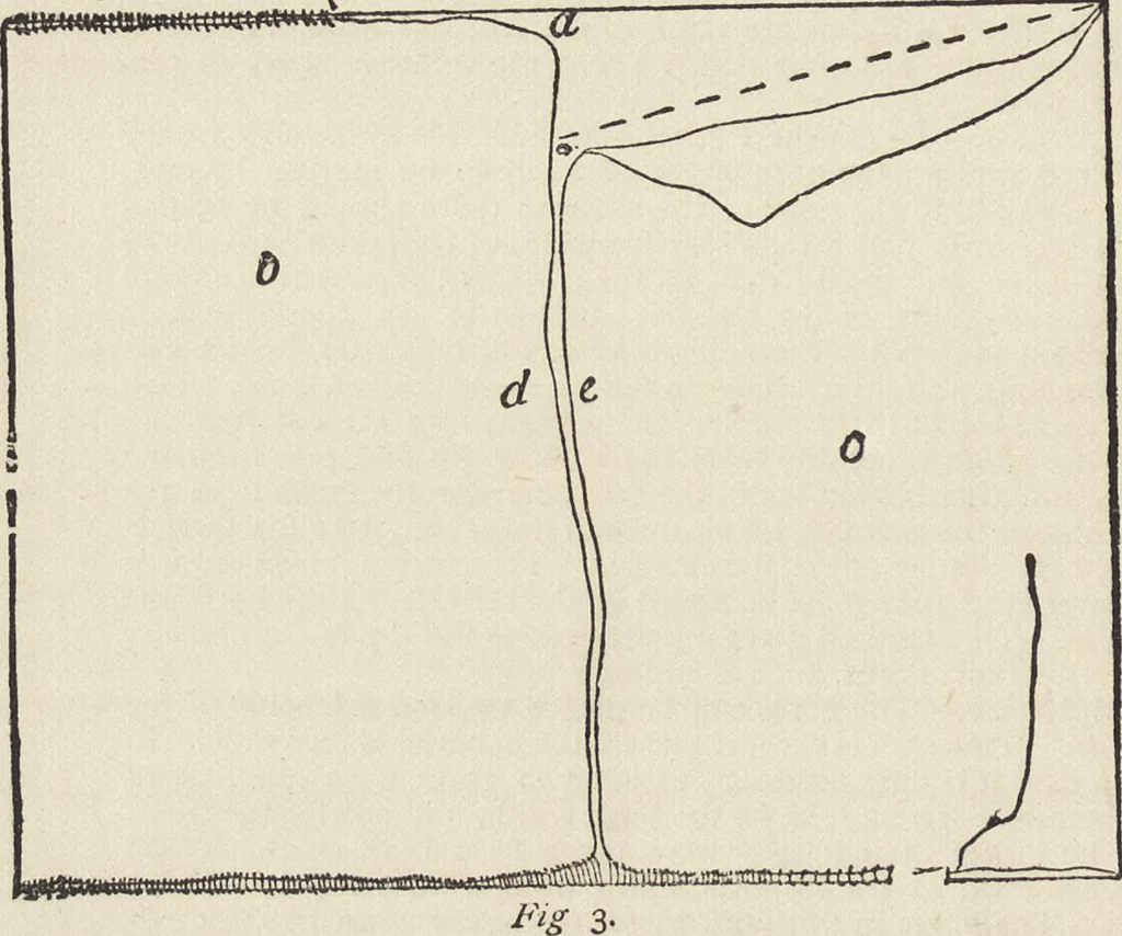 An illustration from Beeton's housewife's treasury of domestic information : comprising complete and practical instructions on the house and its furniture, artistic decoration economy, toilet, children, etiquette, domestic and fancy needlework, dressmaking and millinery, and all other household matters : with every requisite direction to secure the comfort, elegance, and prosperity of the home : a companion volume to "Mrs. Beeton's book of household management" : profusely illustrated, 1879, leaf 767
