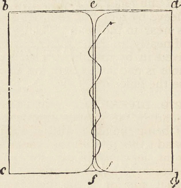 An illustration from Beeton's housewife's treasury of domestic information : comprising complete and practical instructions on the house and its furniture, artistic decoration economy, toilet, children, etiquette, domestic and fancy needlework, dressmaking and millinery, and all other household matters : with every requisite direction to secure the comfort, elegance, and prosperity of the home : a companion volume to "Mrs. Beeton's book of household management" : profusely illustrated, 1879, leaf 769