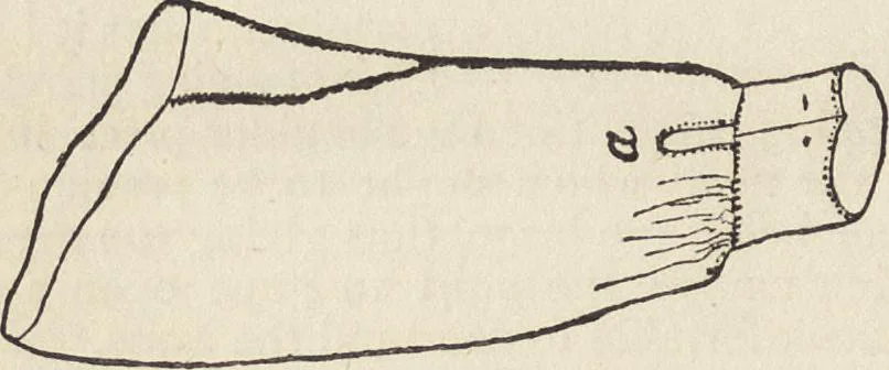 An illustration from Beeton's housewife's treasury of domestic information : comprising complete and practical instructions on the house and its furniture, artistic decoration economy, toilet, children, etiquette, domestic and fancy needlework, dressmaking and millinery, and all other household matters : with every requisite direction to secure the comfort, elegance, and prosperity of the home : a companion volume to "Mrs. Beeton's book of household management" : profusely illustrated, 1879, leaf 777