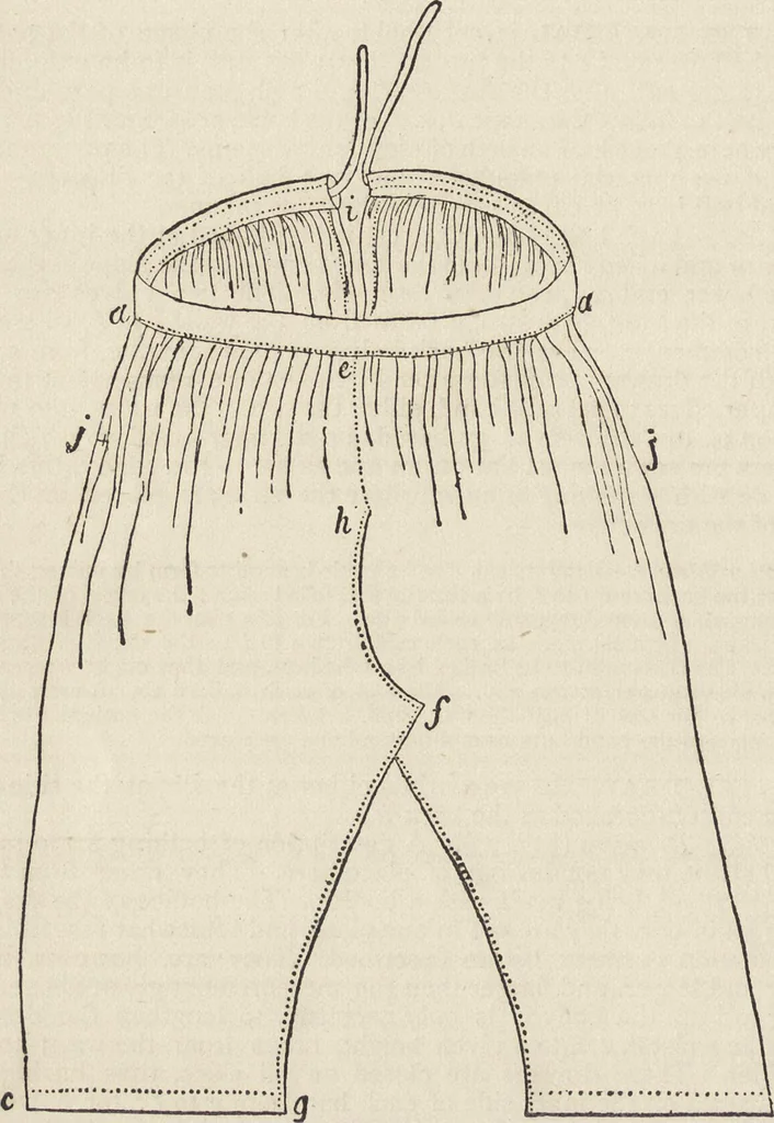 An illustration from Beeton's housewife's treasury of domestic information : comprising complete and practical instructions on the house and its furniture, artistic decoration economy, toilet, children, etiquette, domestic and fancy needlework, dressmaking and millinery, and all other household matters : with every requisite direction to secure the comfort, elegance, and prosperity of the home : a companion volume to "Mrs. Beeton's book of household management" : profusely illustrated, 1879, leaf 783