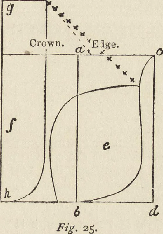 An illustration from Beeton's housewife's treasury of domestic information : comprising complete and practical instructions on the house and its furniture, artistic decoration economy, toilet, children, etiquette, domestic and fancy needlework, dressmaking and millinery, and all other household matters : with every requisite direction to secure the comfort, elegance, and prosperity of the home : a companion volume to "Mrs. Beeton's book of household management" : profusely illustrated, 1879, leaf 786