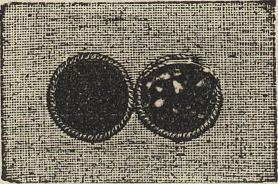 An illustration from Beeton's housewife's treasury of domestic information : comprising complete and practical instructions on the house and its furniture, artistic decoration economy, toilet, children, etiquette, domestic and fancy needlework, dressmaking and millinery, and all other household matters : with every requisite direction to secure the comfort, elegance, and prosperity of the home : a companion volume to "Mrs. Beeton's book of household management" : profusely illustrated, 1879, leaf 879