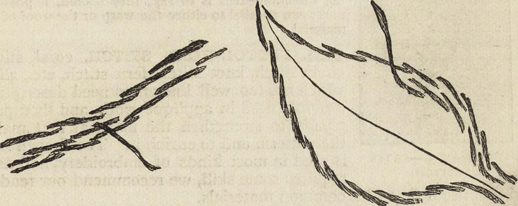 An illustration from Beeton's housewife's treasury of domestic information : comprising complete and practical instructions on the house and its furniture, artistic decoration economy, toilet, children, etiquette, domestic and fancy needlework, dressmaking and millinery, and all other household matters : with every requisite direction to secure the comfort, elegance, and prosperity of the home : a companion volume to "Mrs. Beeton's book of household management" : profusely illustrated, 1879, leaf 942