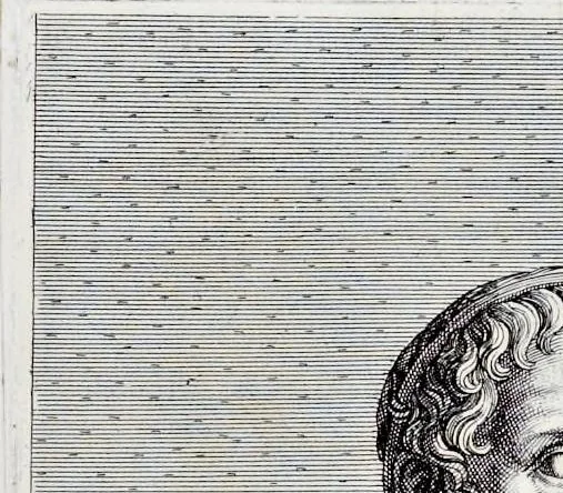 An illustration from Villa Pamphilia : eiusque palatium, cum suis prospectibus, statuae, fontes, vivaria, theatra, areolae, plantarum, viarumque ordines, cum eiusdem villae absoluta delineatione, 1650, leaf 118