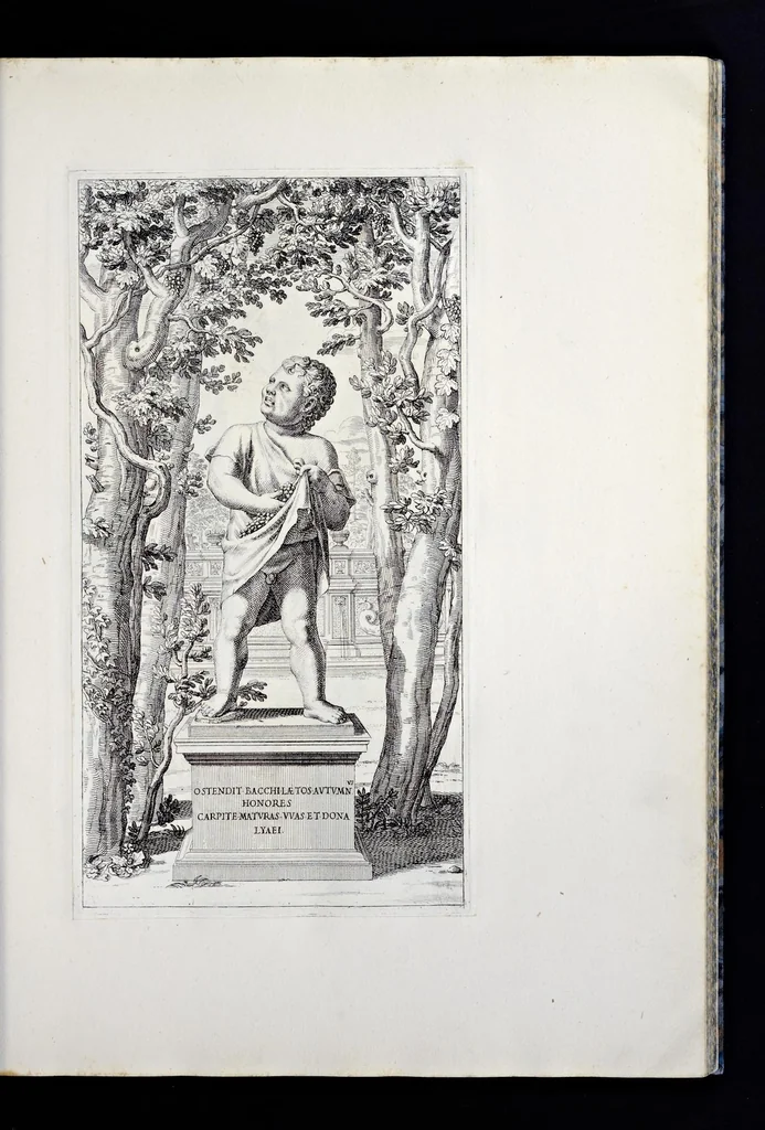 An illustration from Villa Pamphilia : eiusque palatium, cum suis prospectibus, statuae, fontes, vivaria, theatra, areolae, plantarum, viarumque ordines, cum eiusdem villae absoluta delineatione, 1650, leaf 42