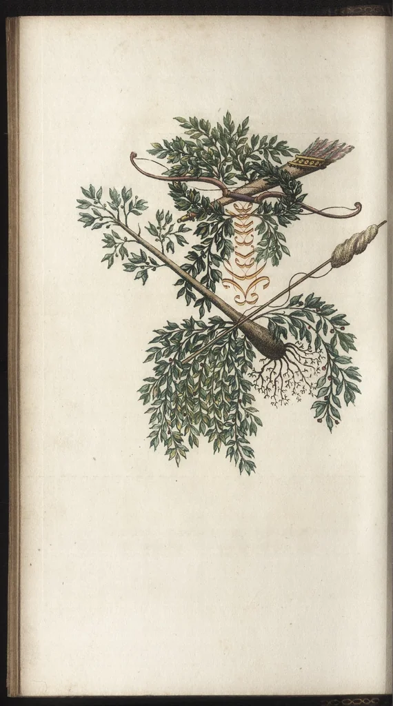 An illustration from Arabesques mythologiques, ou, Les attributs de toutes les divinités de la fable : en 54 planches gravées d'après les dessins coloriés de Madame de Genlis ... : ouvrage fait pour servir à l'éducation de la jeunesse, 1810, leaf 57