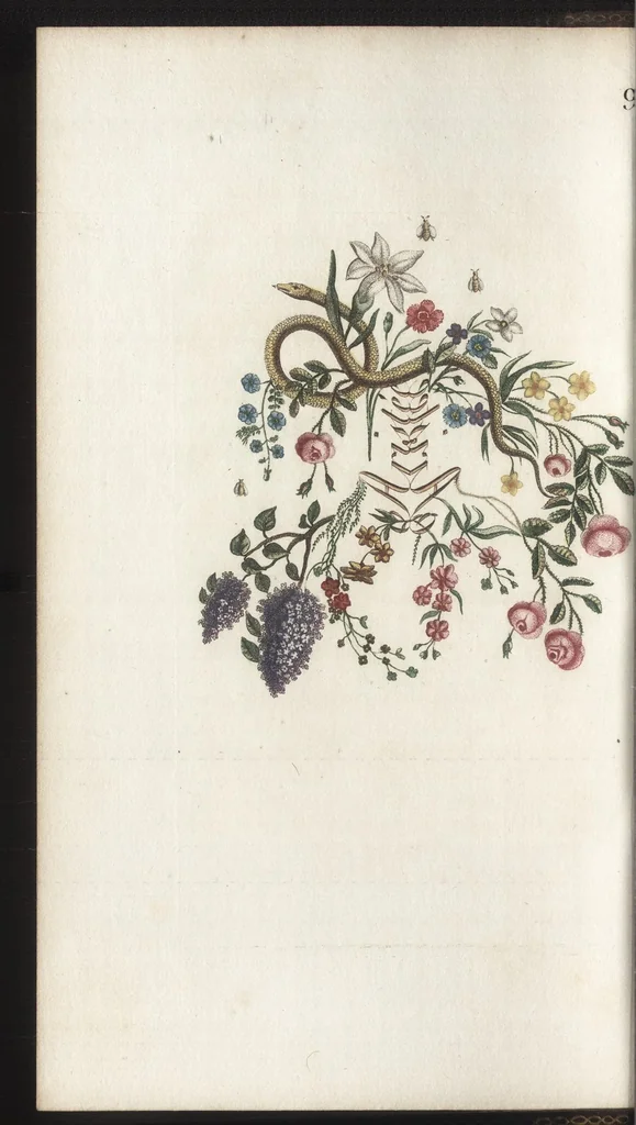 An illustration from Arabesques mythologiques, ou, Les attributs de toutes les divinités de la fable : en 54 planches gravées d'après les dessins coloriés de Madame de Genlis ... : ouvrage fait pour servir à l'éducation de la jeunesse, 1810, leaf 89