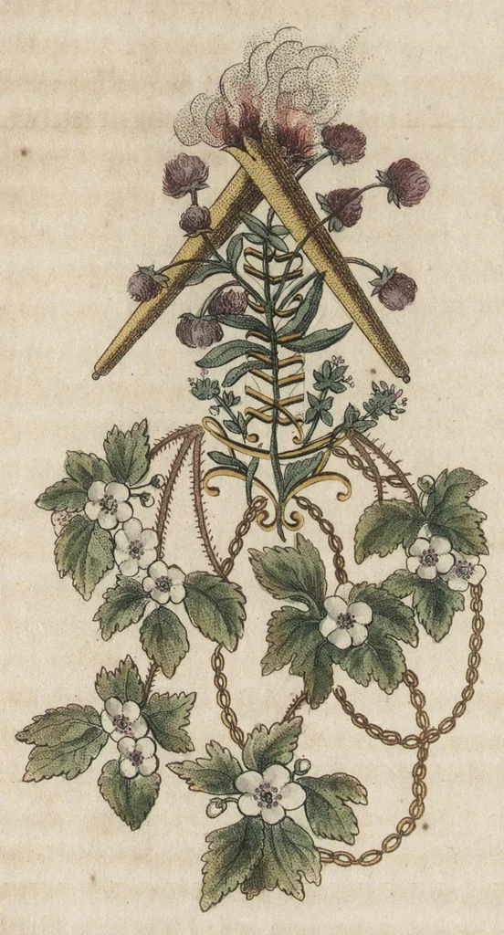 An illustration from Arabesques mythologiques, ou, Les attributs de toutes les divinités de la fable : en 54 planches gravées d'après les dessins coloriés de Madame de Genlis ... : ouvrage fait pour servir à l'éducation de la jeunesse, 1810, leaf 156