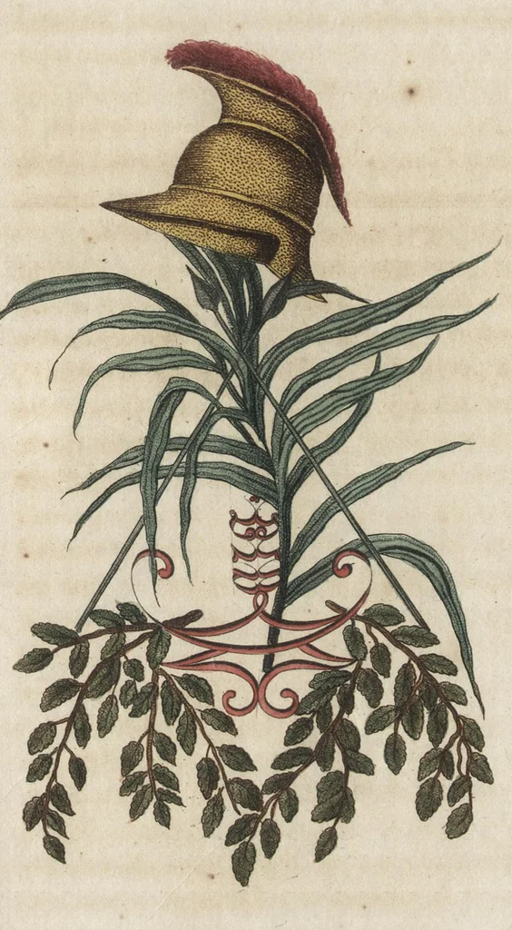 An illustration from Arabesques mythologiques, ou, Les attributs de toutes les divinités de la fable : en 54 planches gravées d'après les dessins coloriés de Madame de Genlis ... : ouvrage fait pour servir à l'éducation de la jeunesse, 1810, leaf 162