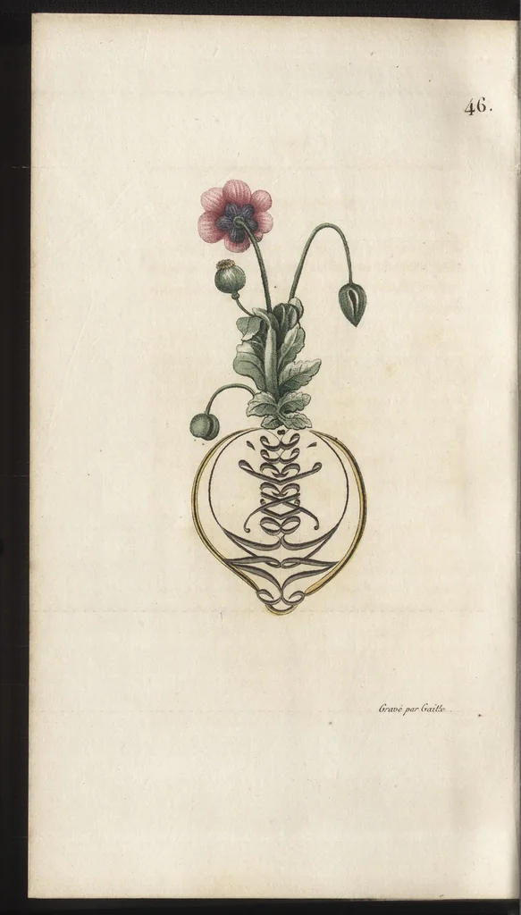 An illustration from Arabesques mythologiques, ou, Les attributs de toutes les divinités de la fable : en 54 planches gravées d'après les dessins coloriés de Madame de Genlis ... : ouvrage fait pour servir à l'éducation de la jeunesse, 1810, leaf 281