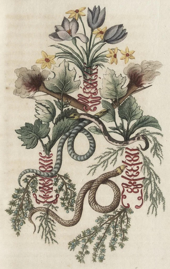 An illustration from Arabesques mythologiques, ou, Les attributs de toutes les divinités de la fable : en 54 planches gravées d'après les dessins coloriés de Madame de Genlis ... : ouvrage fait pour servir à l'éducation de la jeunesse, 1810, leaf 78