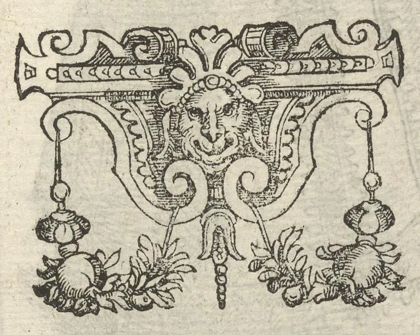 An illustration from De gli habiti antichi et moderni di diuerse parti del mondo libri dve, 1590, leaf 434