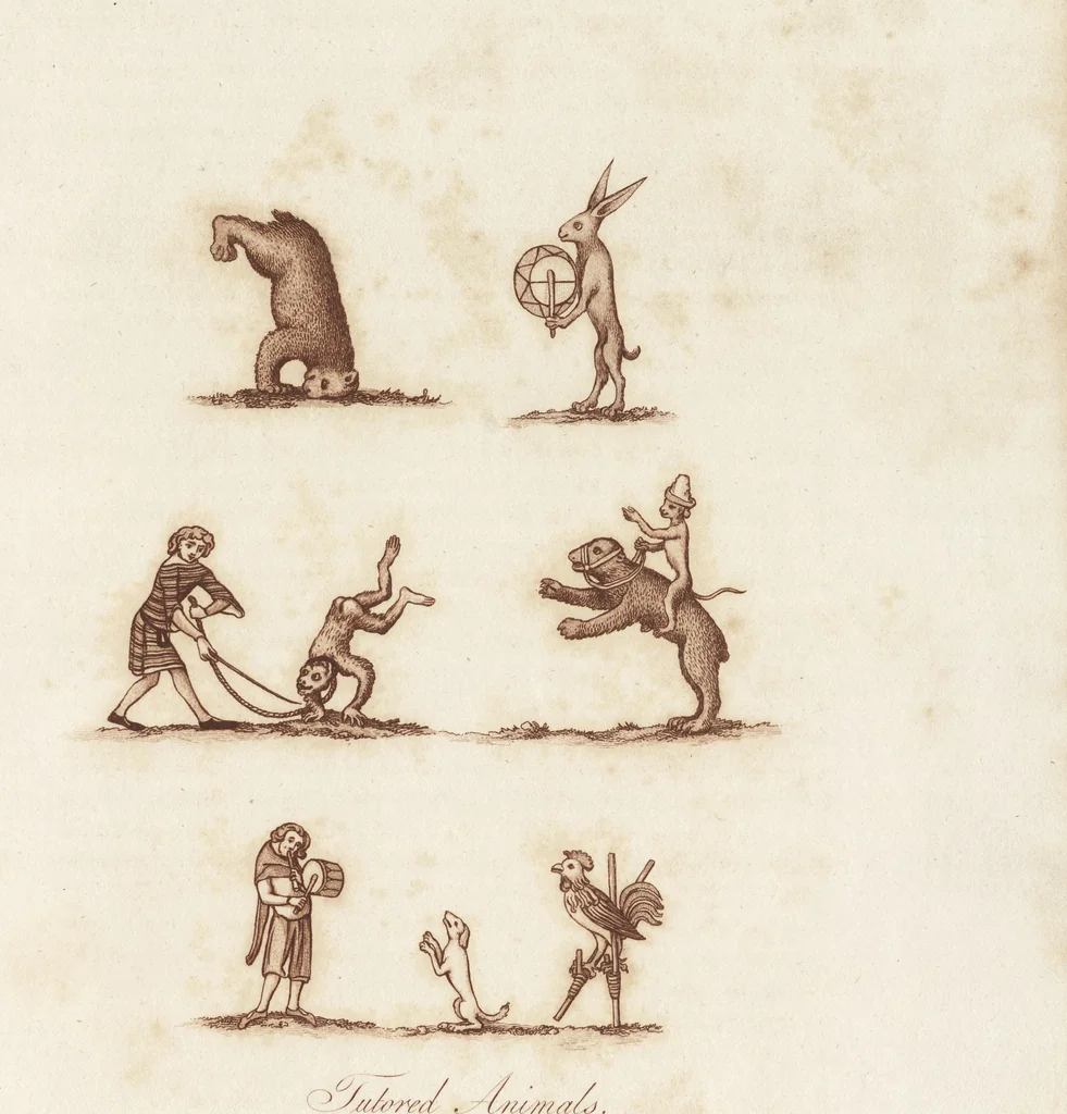 An illustration from Glig-gamena angel-deod, or, The sports and pastimes of the people of England : including the rural and domestic recreations, May-games, mummeries, pageants, processions, and pompous spectacles, from the earliest period to the present time : illustrated by engravings selected from ancient paintings in which are represented most of the popular diversions, 1810, leaf 328