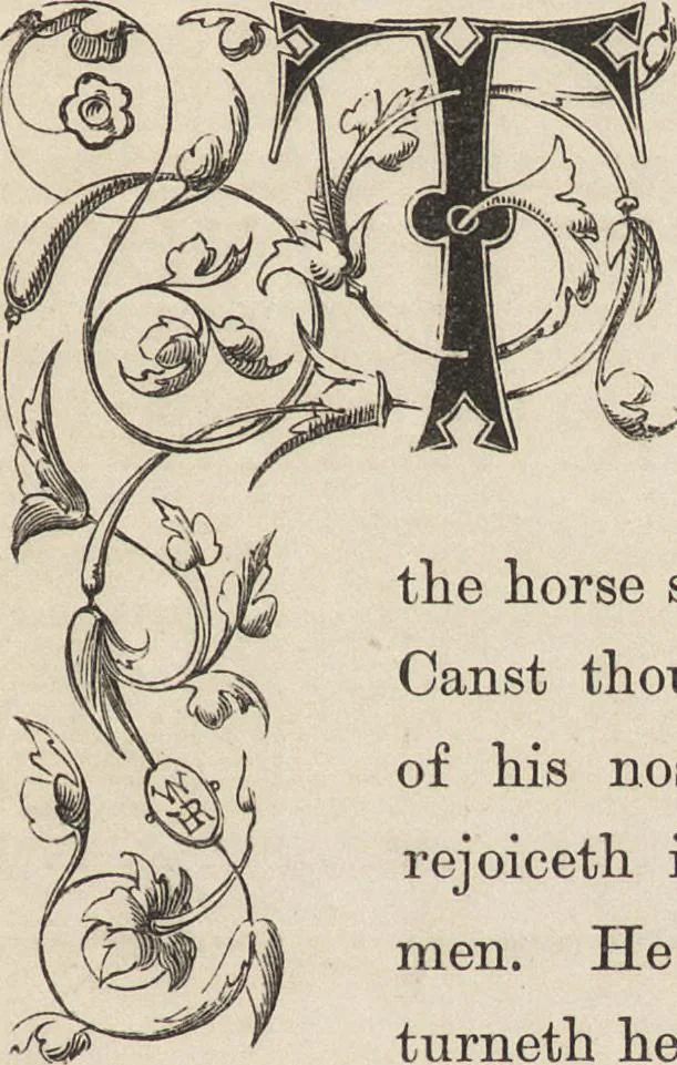 An illustration from The arts in the middle ages, and at the period of the renaissance, 1870, leaf 160