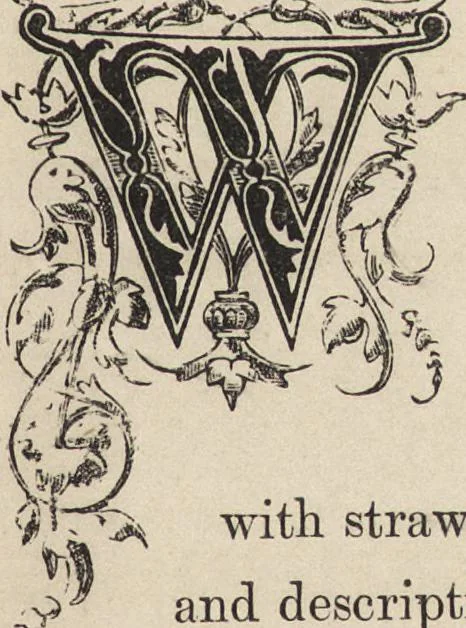 An illustration from The arts in the middle ages, and at the period of the renaissance, 1870, leaf 30