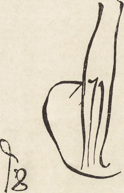 An illustration from The arts in the middle ages, and at the period of the renaissance, 1870, leaf 525