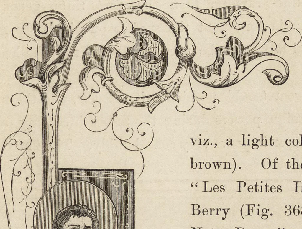 An illustration from The arts in the middle ages, and at the period of the renaissance, 1870, leaf 552