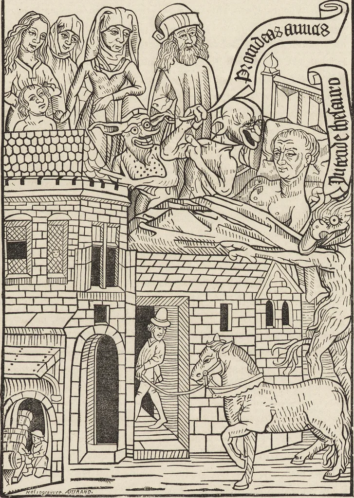 An illustration from The arts in the middle ages, and at the period of the renaissance, 1870, leaf 596