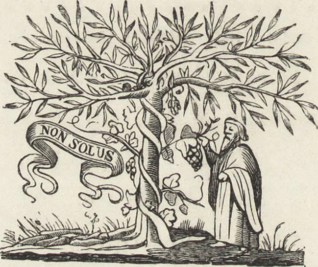 An illustration from The arts in the middle ages, and at the period of the renaissance, 1870, leaf 621