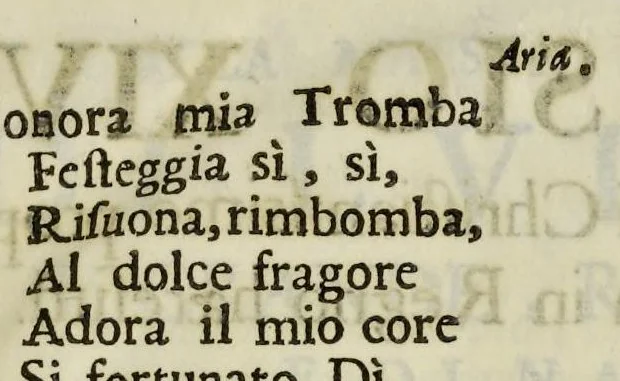 An illustration from Roma festeggiante nel Monte Pincio : negli applausi alle glorie della pietà del cristianissimo Lodovico il Grande, in occasione della da lui estirpata eresia, mediante l'editto di Fontanablò 1685, e della ricuperata sua salute celebrati dall' eminentissimo e reuerendissimo principe il signor cardinal d'Estrées .., 1687, leaf 28