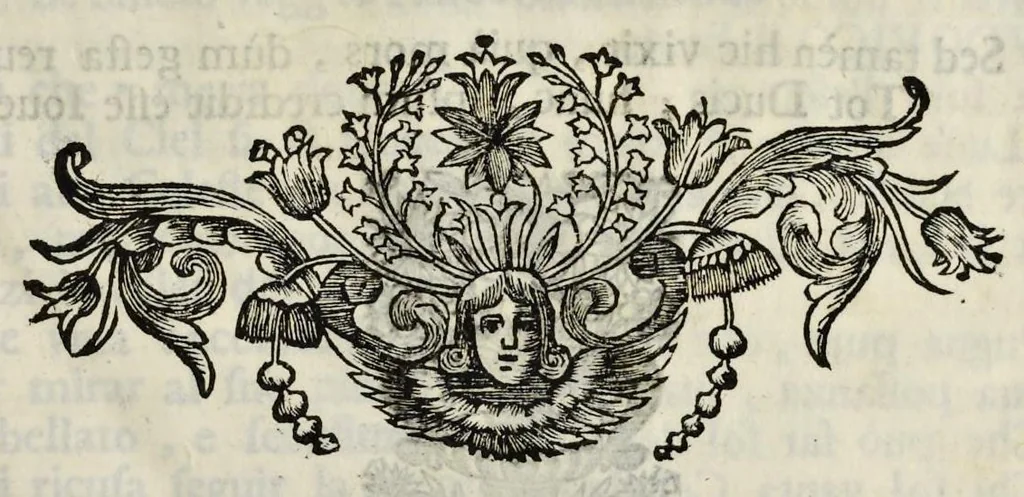 An illustration from Roma festeggiante nel Monte Pincio : negli applausi alle glorie della pietà del cristianissimo Lodovico il Grande, in occasione della da lui estirpata eresia, mediante l'editto di Fontanablò 1685, e della ricuperata sua salute celebrati dall' eminentissimo e reuerendissimo principe il signor cardinal d'Estrées .., 1687, leaf 44