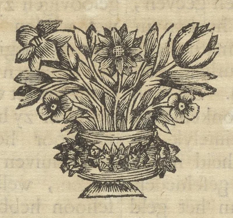 An illustration from Reizen van Cornelis de Bruyn, door de vermaardste deelen van Klein Asia, de eylanden Scio, Rhodus, Cyprus, Metelino, Stanchio, &c., mitsgaders de voornaamste steden van Aegypten, Syrien en Palestina : verrijkt met meer als 200 kopere konstplaaten, vertoonende de beroemdste landschappen, steden, &c. alles door den autheur selfs na het leven afgetekend, 1698, leaf 241
