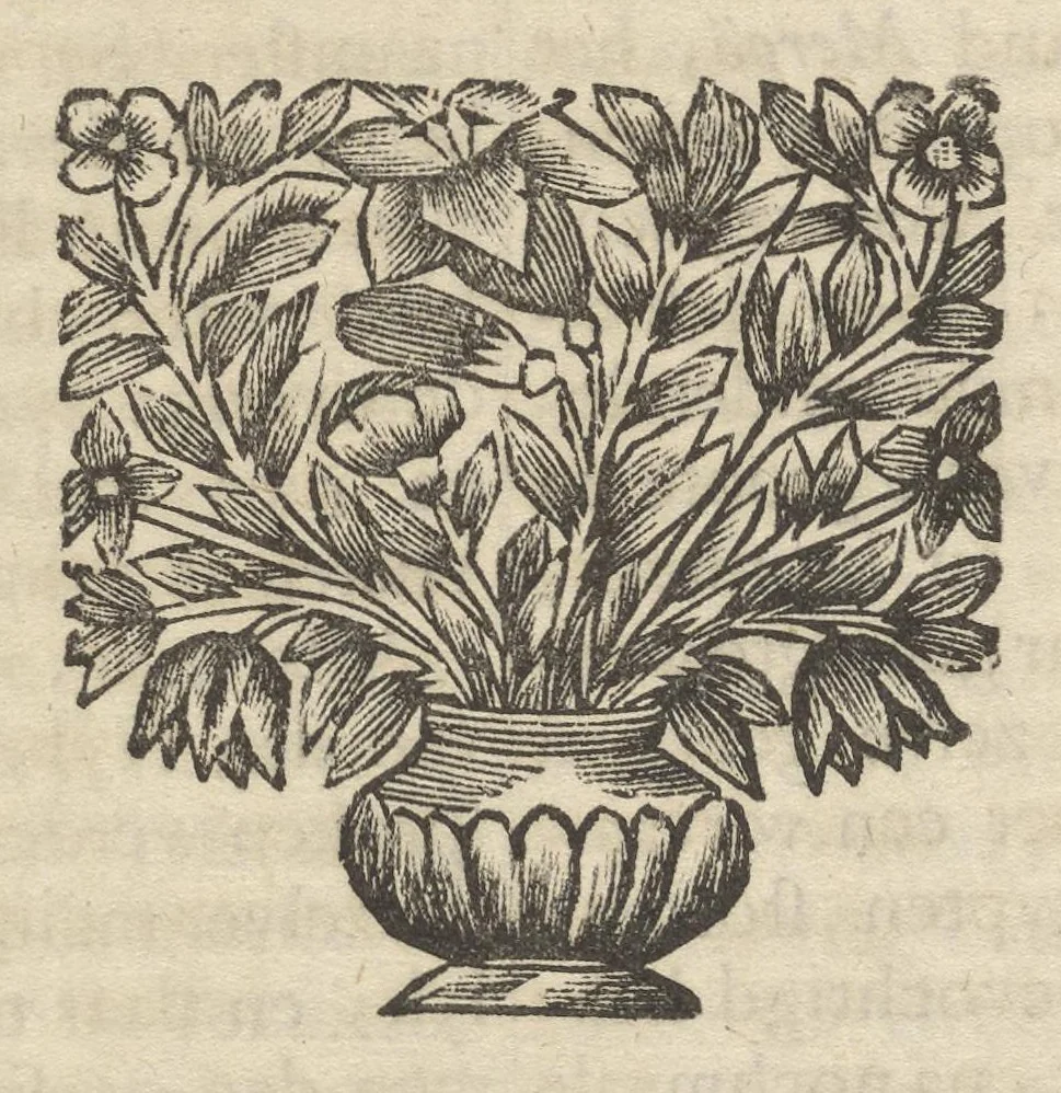 An illustration from Reizen van Cornelis de Bruyn, door de vermaardste deelen van Klein Asia, de eylanden Scio, Rhodus, Cyprus, Metelino, Stanchio, &c., mitsgaders de voornaamste steden van Aegypten, Syrien en Palestina : verrijkt met meer als 200 kopere konstplaaten, vertoonende de beroemdste landschappen, steden, &c. alles door den autheur selfs na het leven afgetekend, 1698, leaf 396