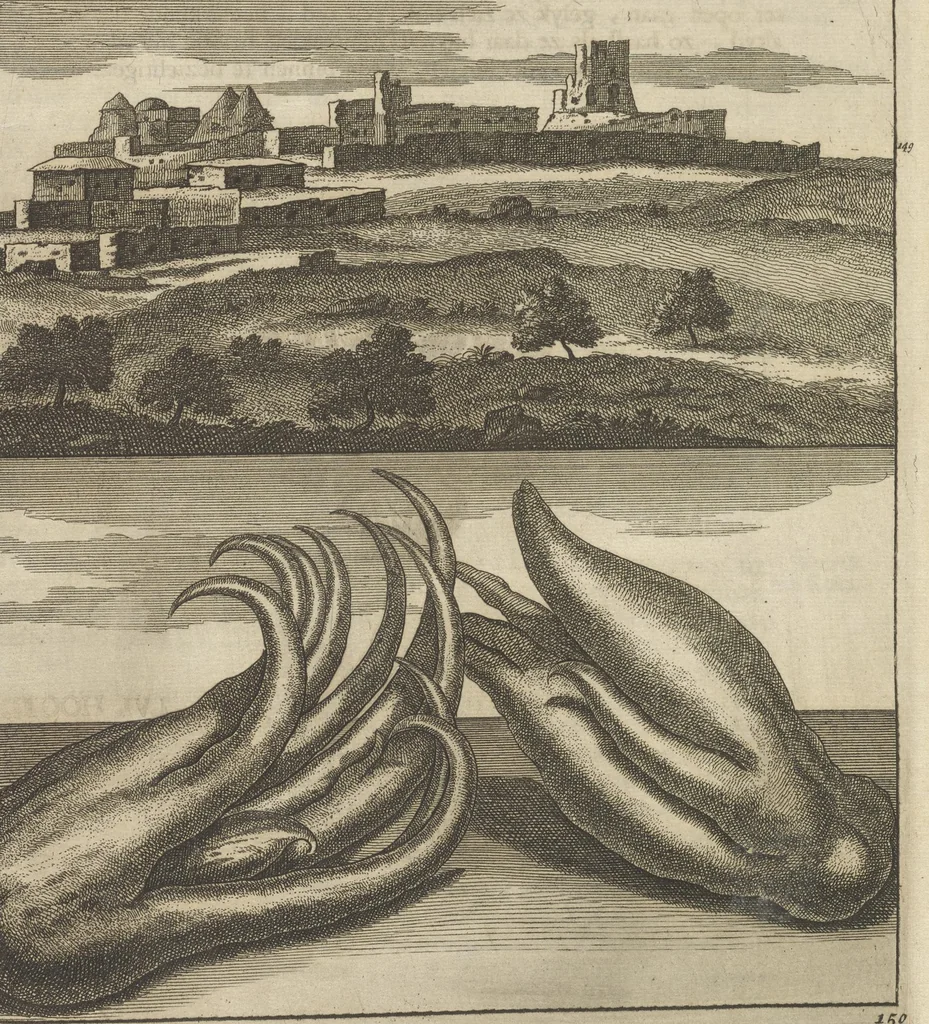 An illustration from Reizen van Cornelis de Bruyn, door de vermaardste deelen van Klein Asia, de eylanden Scio, Rhodus, Cyprus, Metelino, Stanchio, &c., mitsgaders de voornaamste steden van Aegypten, Syrien en Palestina : verrijkt met meer als 200 kopere konstplaaten, vertoonende de beroemdste landschappen, steden, &c. alles door den autheur selfs na het leven afgetekend, 1698, leaf 544