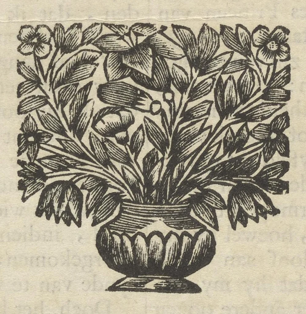 An illustration from Reizen van Cornelis de Bruyn, door de vermaardste deelen van Klein Asia, de eylanden Scio, Rhodus, Cyprus, Metelino, Stanchio, &c., mitsgaders de voornaamste steden van Aegypten, Syrien en Palestina : verrijkt met meer als 200 kopere konstplaaten, vertoonende de beroemdste landschappen, steden, &c. alles door den autheur selfs na het leven afgetekend, 1698, leaf 703