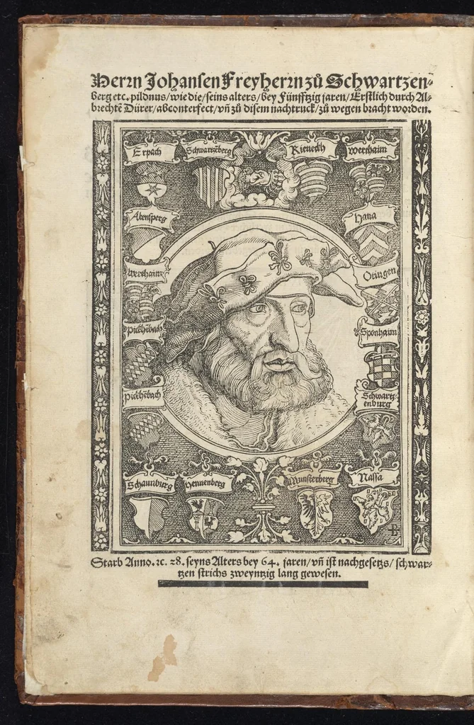 An illustration from Officia M.T.C. : ein Bůch, so Marcus Tullius Cicero der Römer, zů seynem Sune Marco, von den tugentsamen Ämptern vnd Zůgehörungen, eynes wol vnd rechtlebenden Menschen, 1531, leaf 3