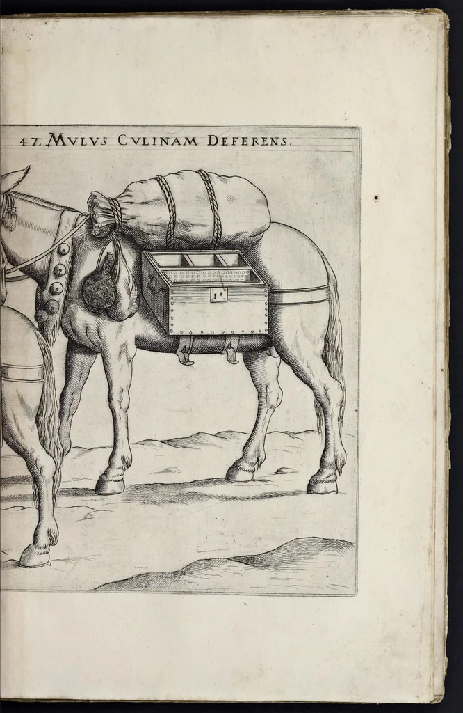 An illustration from Machinae novae Favsti Verantii siceni, 1595, leaf 252