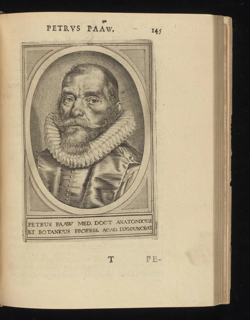 An illustration from Illustrium Hollandiae & VVestfrisiae ordinum alma Academia Leidensis, 1614, leaf 216