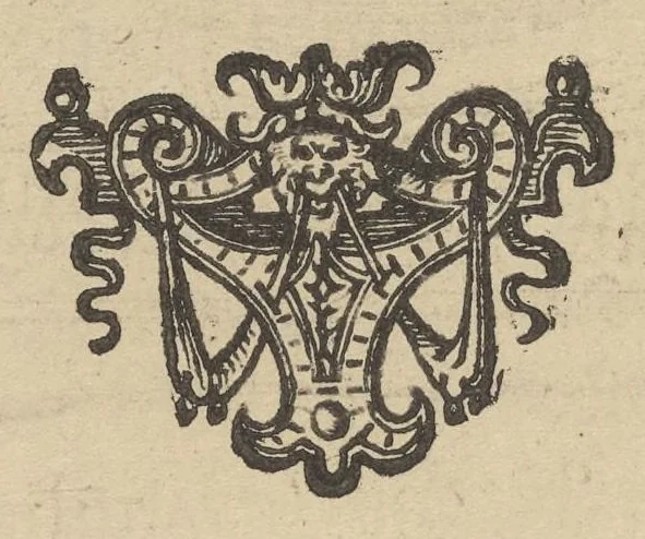 An illustration from Illustrium Hollandiae & VVestfrisiae ordinum alma Academia Leidensis, 1614, leaf 219
