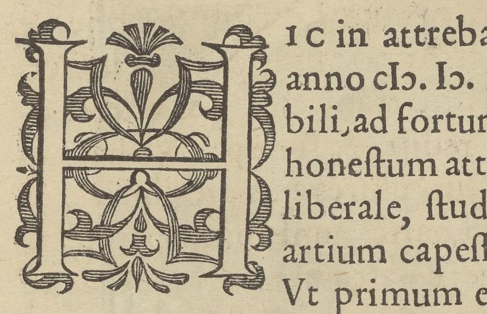 An illustration from Illustrium Hollandiae & VVestfrisiae ordinum alma Academia Leidensis, 1614, leaf 221
