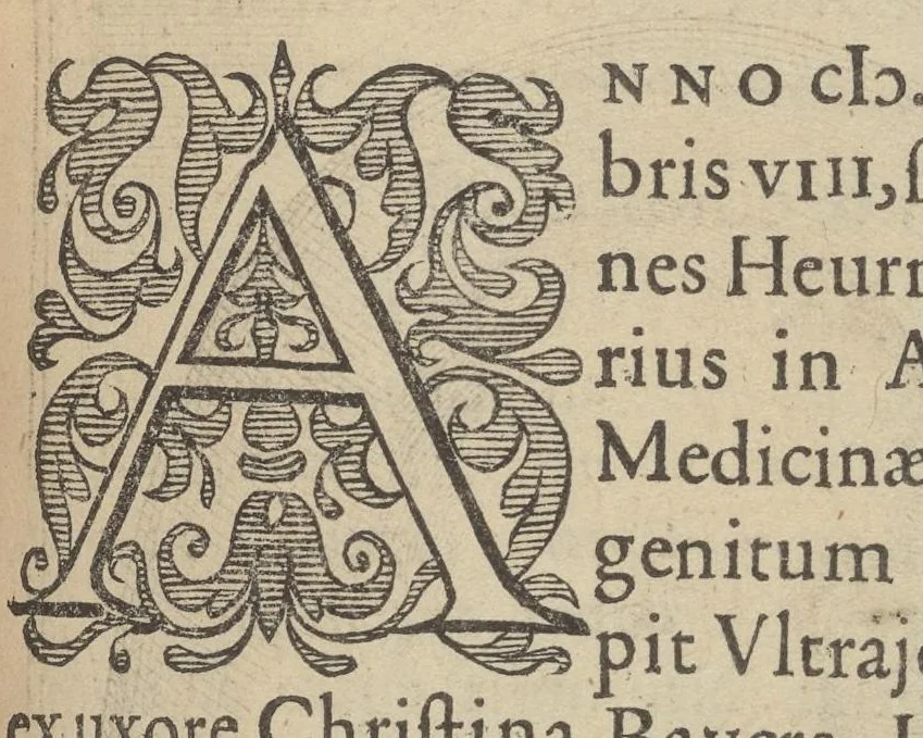 An illustration from Illustrium Hollandiae & VVestfrisiae ordinum alma Academia Leidensis, 1614, leaf 230