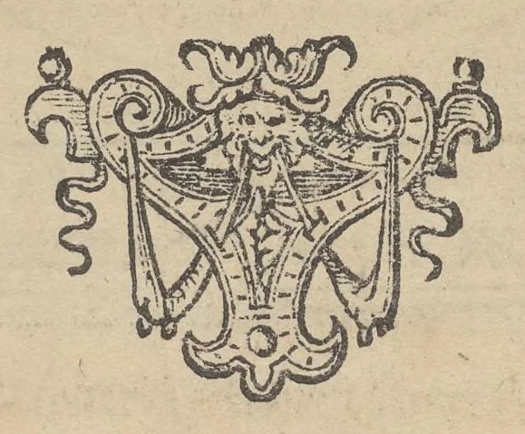 An illustration from Illustrium Hollandiae & VVestfrisiae ordinum alma Academia Leidensis, 1614, leaf 26