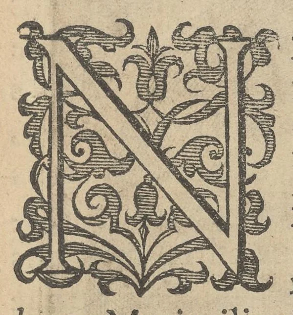 An illustration from Illustrium Hollandiae & VVestfrisiae ordinum alma Academia Leidensis, 1614, leaf 28