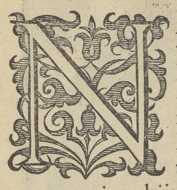 An illustration from Illustrium Hollandiae & VVestfrisiae ordinum alma Academia Leidensis, 1614, leaf 293