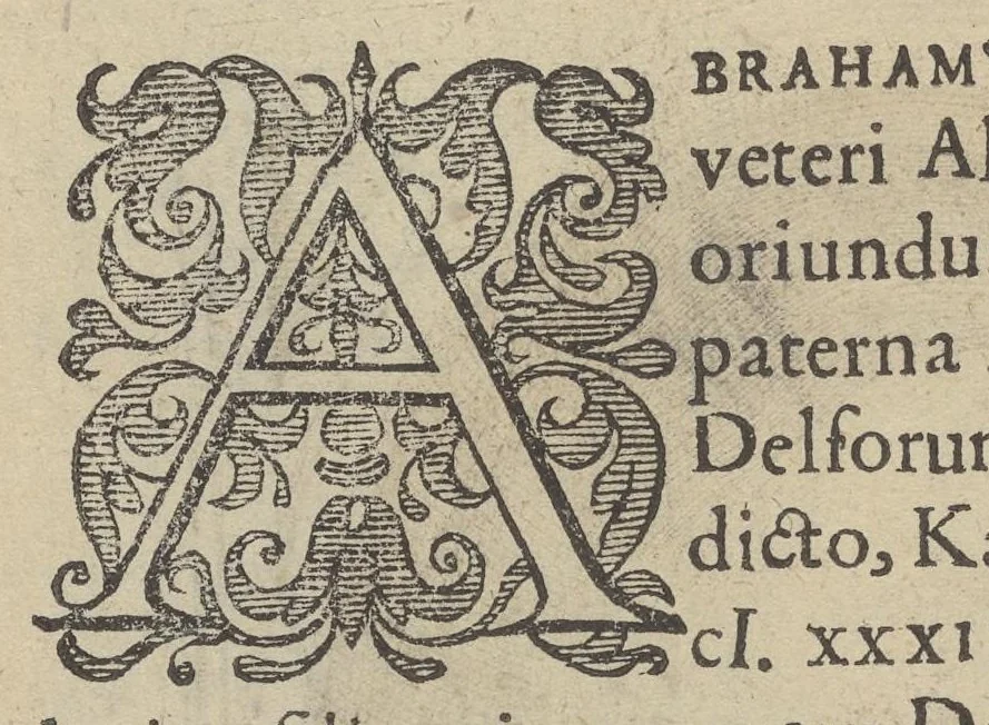 An illustration from Illustrium Hollandiae & VVestfrisiae ordinum alma Academia Leidensis, 1614, leaf 41