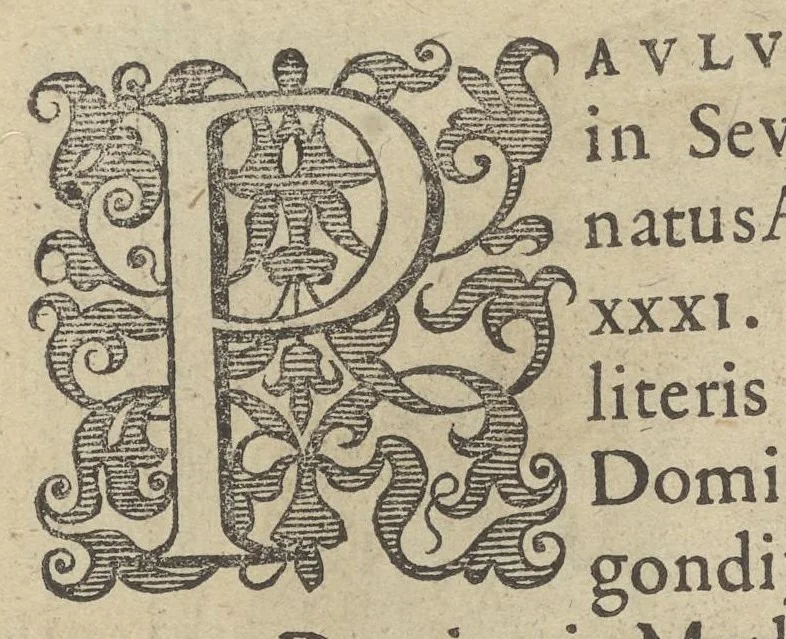 An illustration from Illustrium Hollandiae & VVestfrisiae ordinum alma Academia Leidensis, 1614, leaf 43