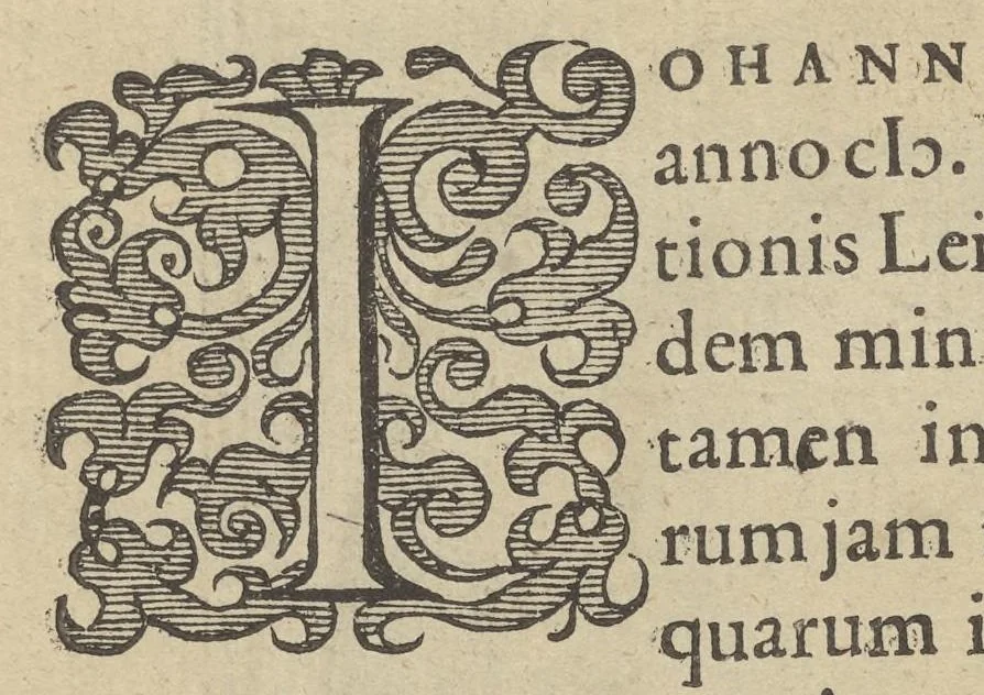 An illustration from Illustrium Hollandiae & VVestfrisiae ordinum alma Academia Leidensis, 1614, leaf 47