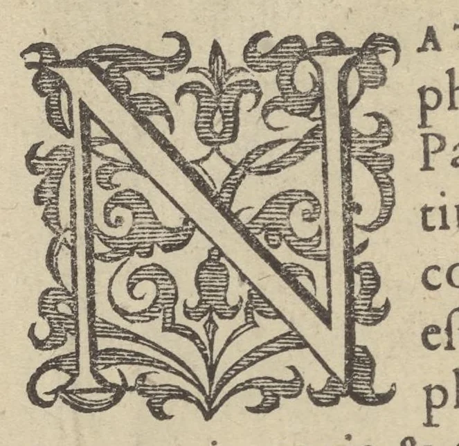 An illustration from Illustrium Hollandiae & VVestfrisiae ordinum alma Academia Leidensis, 1614, leaf 51