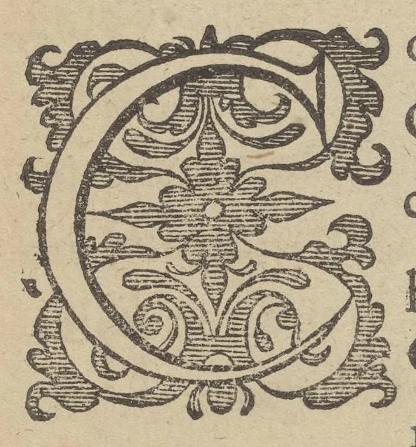 An illustration from Illustrium Hollandiae & VVestfrisiae ordinum alma Academia Leidensis, 1614, leaf 61
