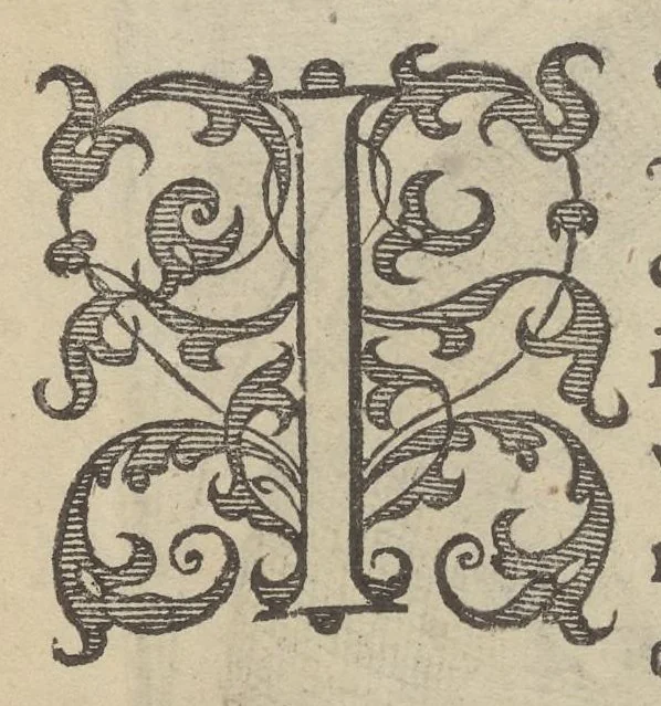 An illustration from Illustrium Hollandiae & VVestfrisiae ordinum alma Academia Leidensis, 1614, leaf 73