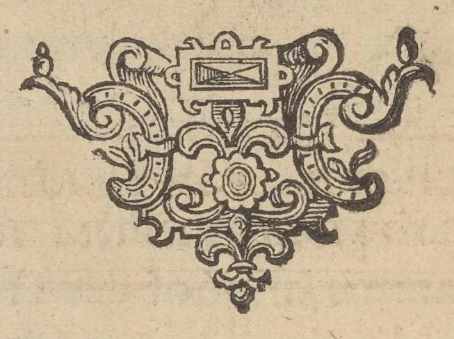 An illustration from Illustrium Hollandiae & VVestfrisiae ordinum alma Academia Leidensis, 1614, leaf 89