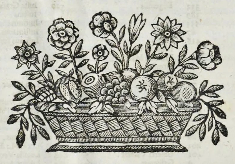 An illustration from Imperatorum Romanorum numismata a Pompeo Magno ad Heraclium ab Adolfo Occone olim congesta : nunc Augustorum iconibus, perpetuis historico-chronologicis notis, pluribusque additamentis illustrata, & aucta. Sac. Caesareae et Regiae Maiestati Inuictissimi, et Clementissimi Leopoldi Primi Optimi Maximi, Augustorum Augusti exhibita studio, et cura Francisci Mediobarbi Biragi S.R.I. comitis, & regiae ciuitatis Papiae decurionis, 1683, leaf 19