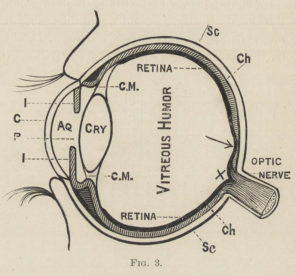 An illustration from Colour-matching on textiles : a manual intended for the use of dyers, calico printers, and textile colour chemists, 1901, leaf 24