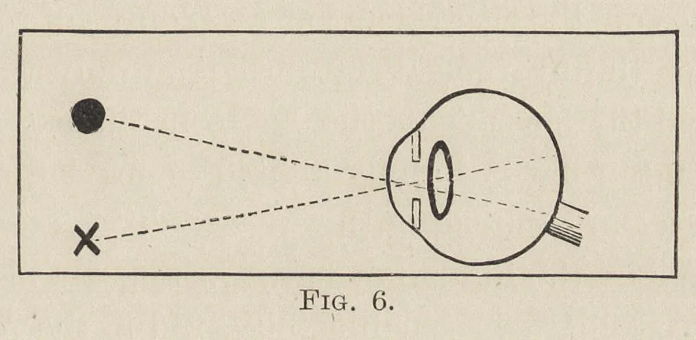 An illustration from Colour-matching on textiles : a manual intended for the use of dyers, calico printers, and textile colour chemists, 1901, leaf 28