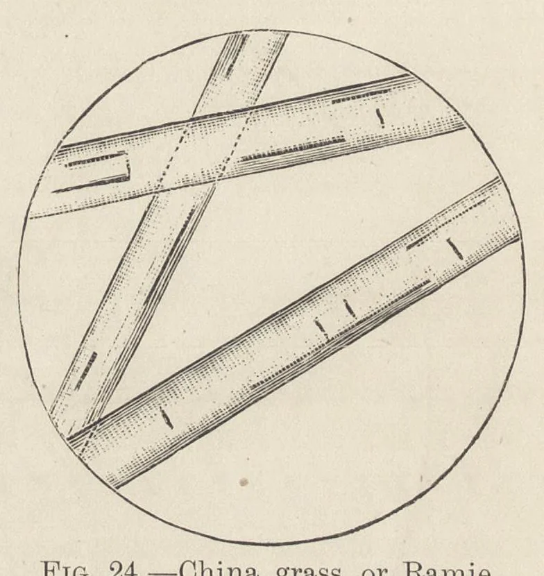 An illustration from Colour-matching on textiles : a manual intended for the use of dyers, calico printers, and textile colour chemists, 1901, leaf 79